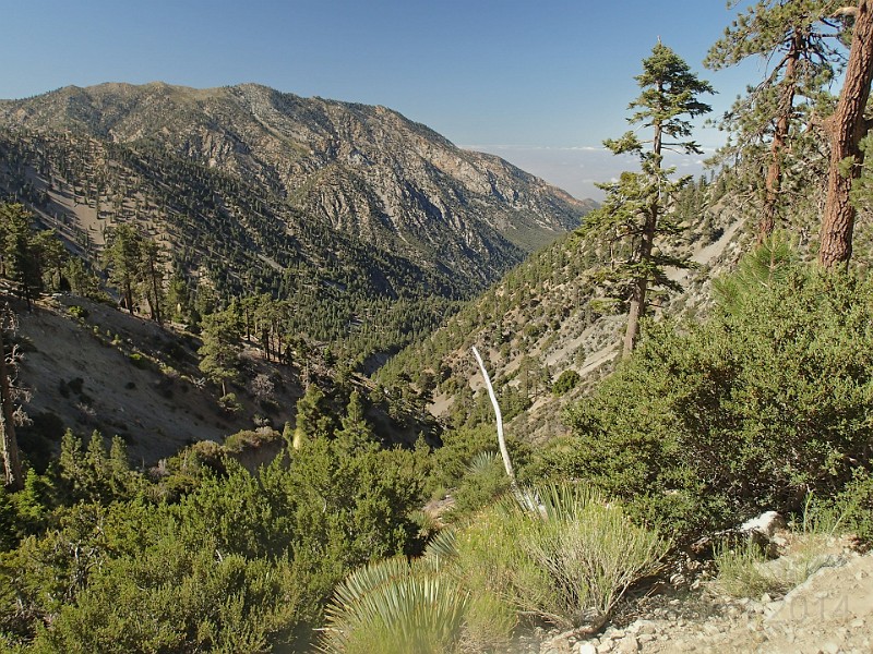 2014 Mt Baldy Cali 039.JPG - Summit Mt San Antonio (Mt Baldy) California